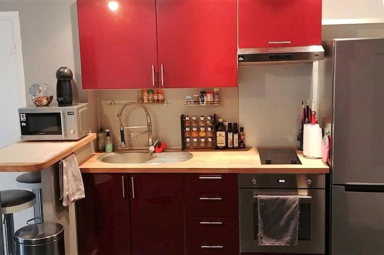 Charmant Studio Proche De Nice A 300M Des Plages Apartment Villeneuve-Loubet Luaran gambar